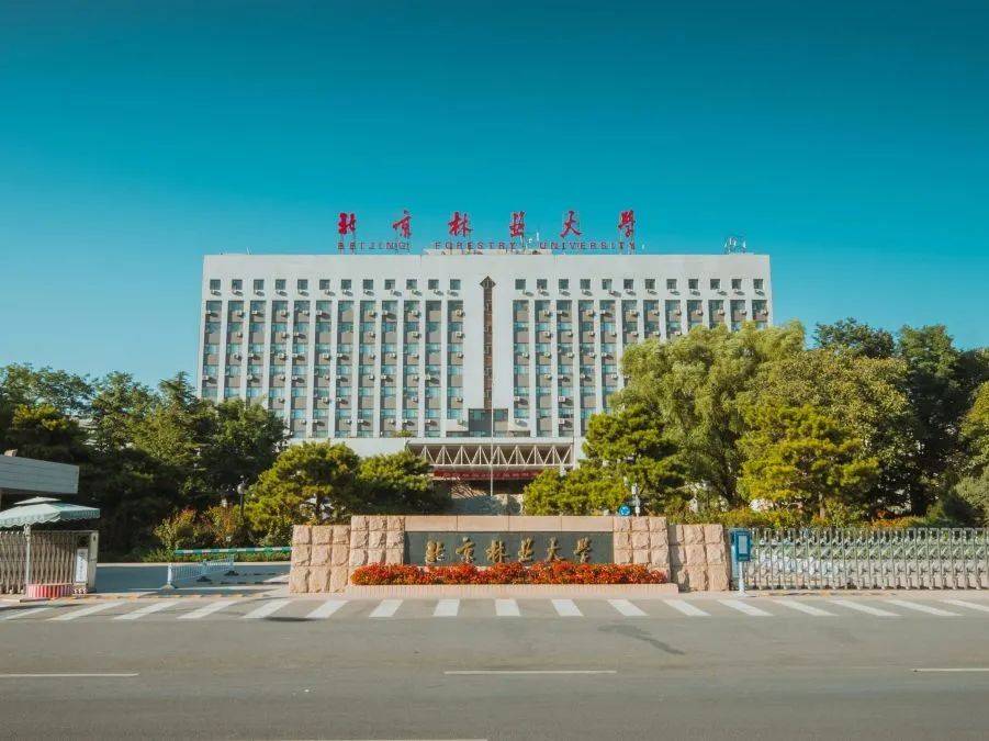北京林业大学在读本科生