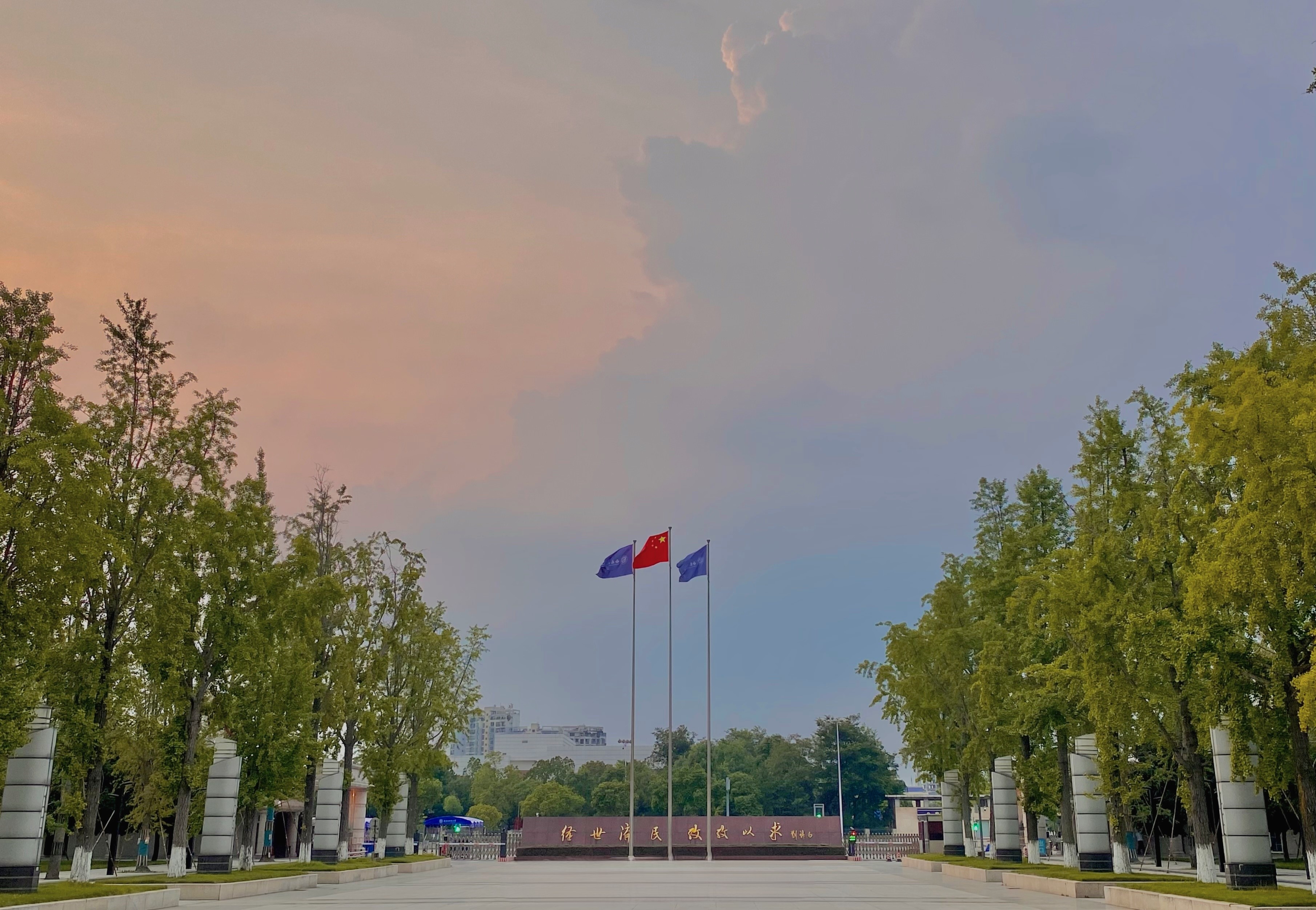 西南财经大学会计学院