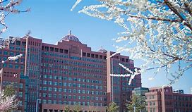 内蒙古大学的毕业证是什么样子
