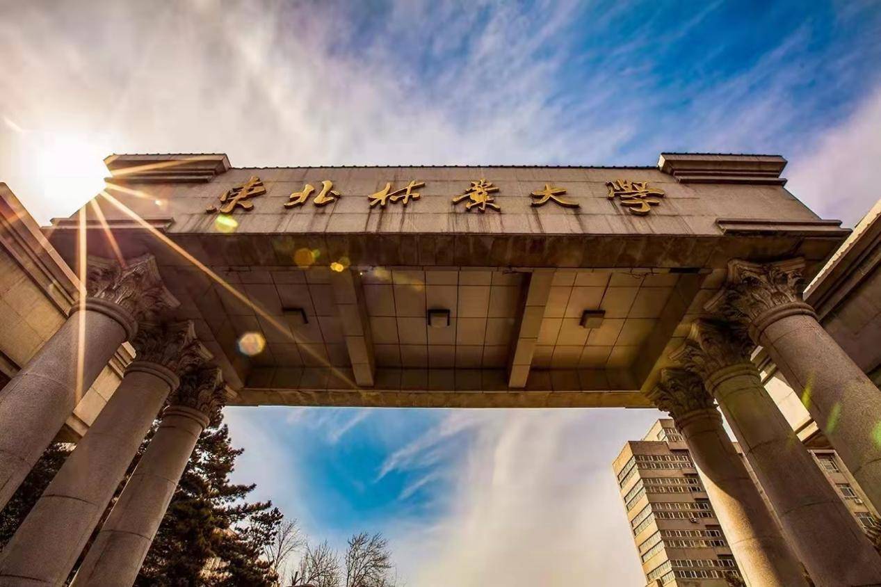东北林业大学数字东林
