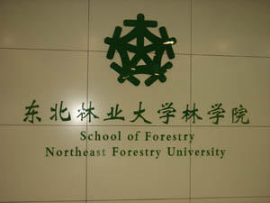东北林业大学毕业证的样本和图片