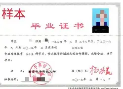 西安电子科技大学特色专业