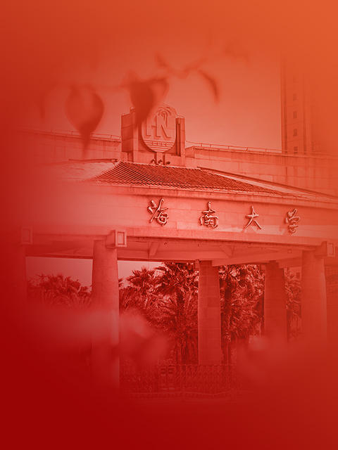 海南大学官网
